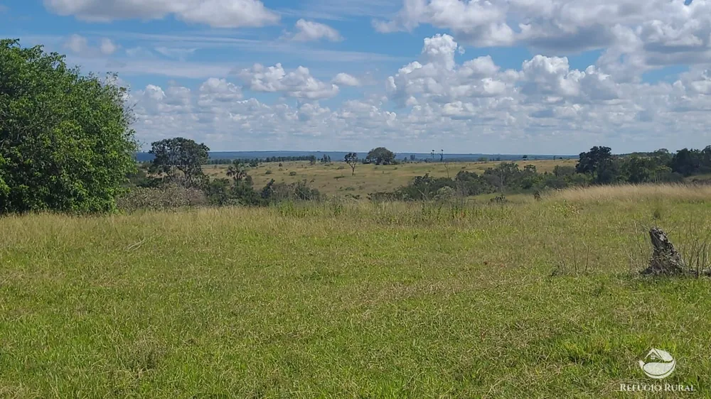 Fazenda, 3250 hectares - Foto 10