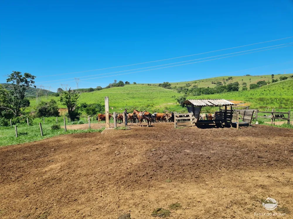 Fazenda, 822 hectares - Foto 14
