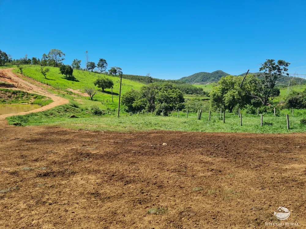 Fazenda, 822 hectares - Foto 13