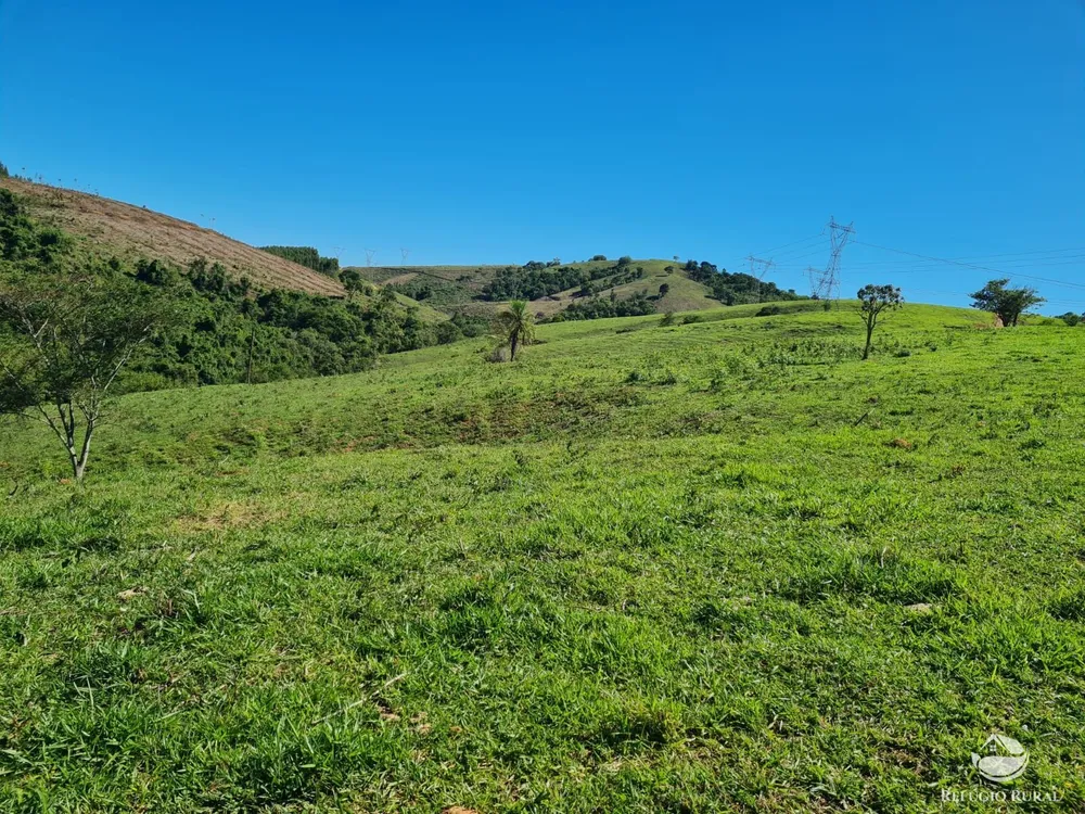 Fazenda, 822 hectares - Foto 15