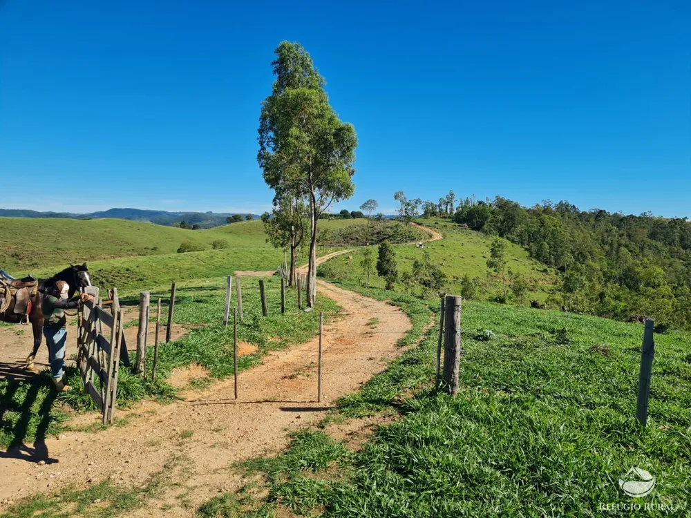 Fazenda, 822 hectares - Foto 8