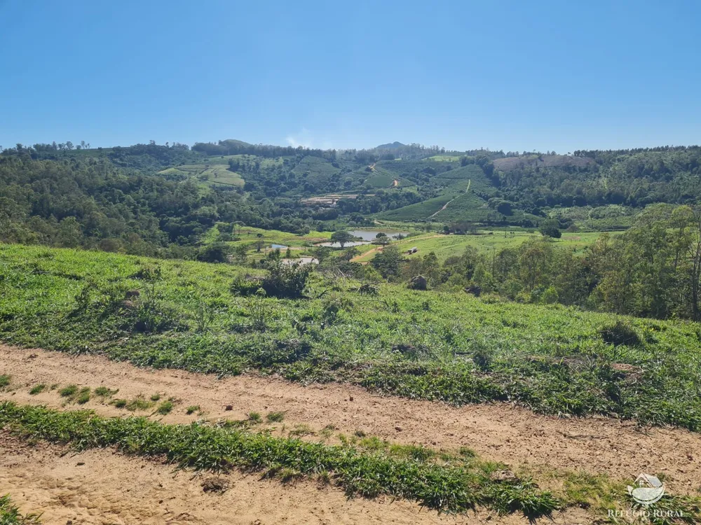 Fazenda, 822 hectares - Foto 5