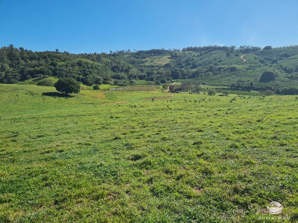 Fazenda, 822 hectares - Foto 2