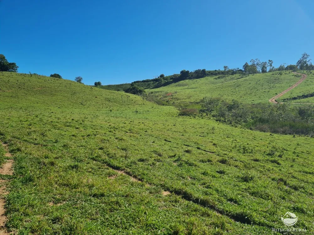 Fazenda, 822 hectares - Foto 6