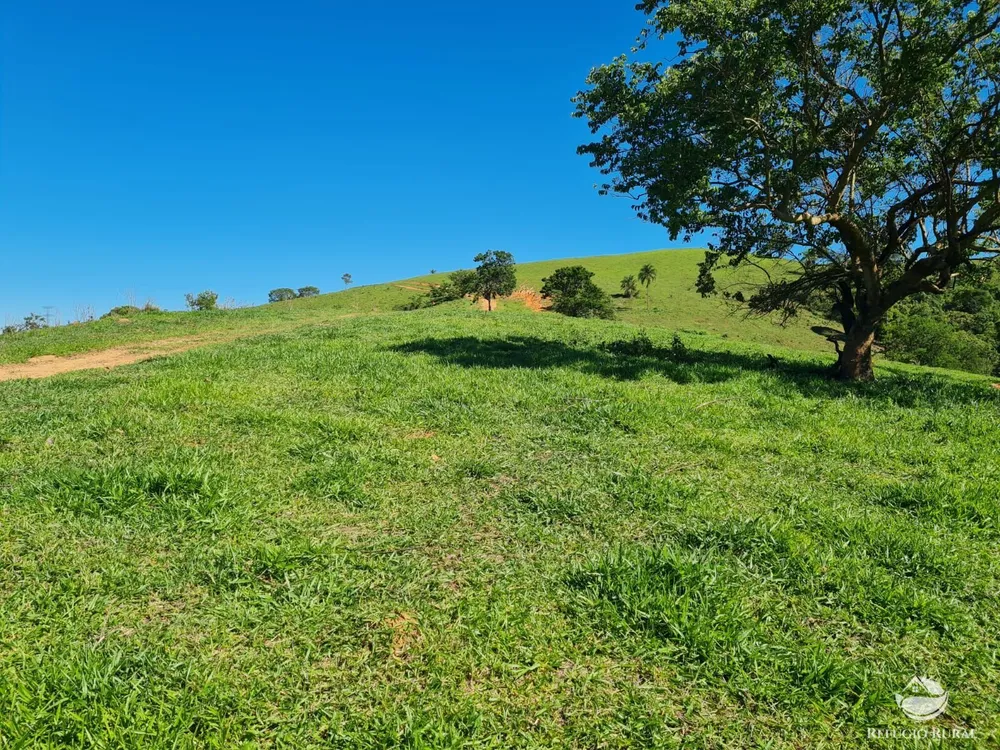 Fazenda, 822 hectares - Foto 16