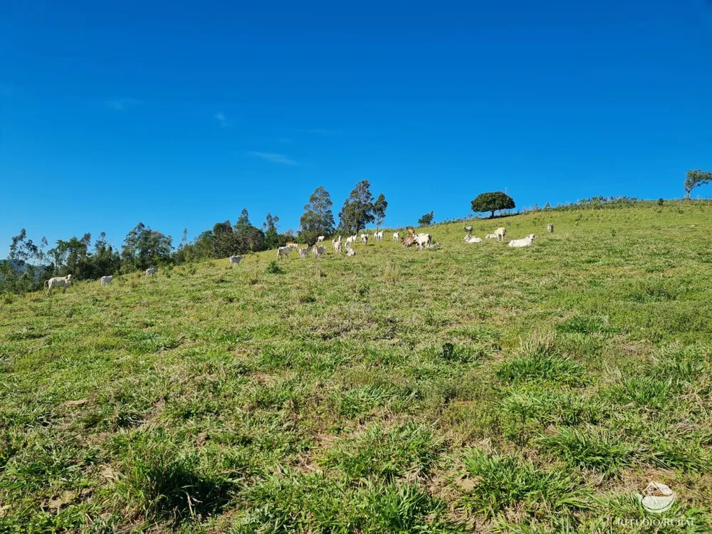 Fazenda, 822 hectares - Foto 3