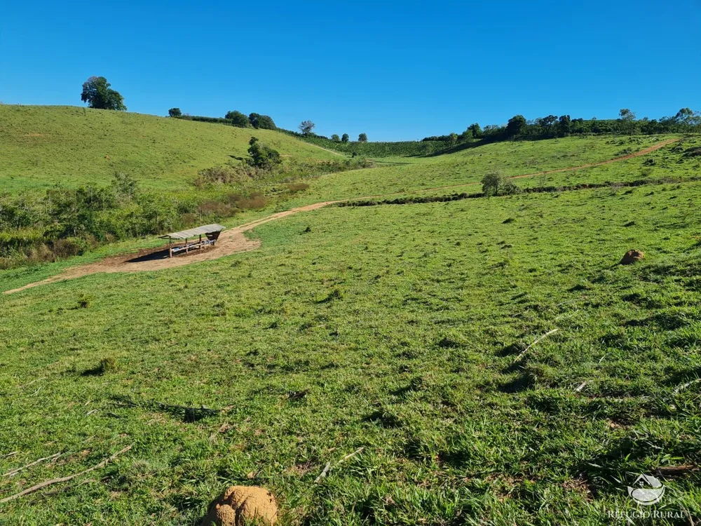 Fazenda, 822 hectares - Foto 7