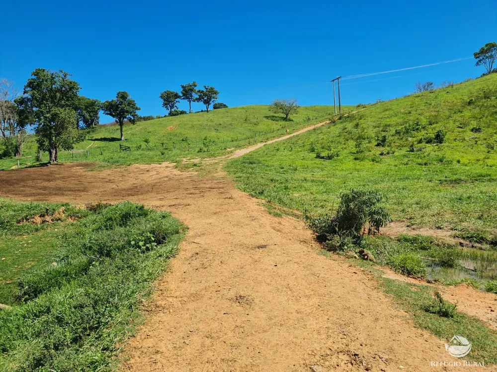 Fazenda, 822 hectares - Foto 11