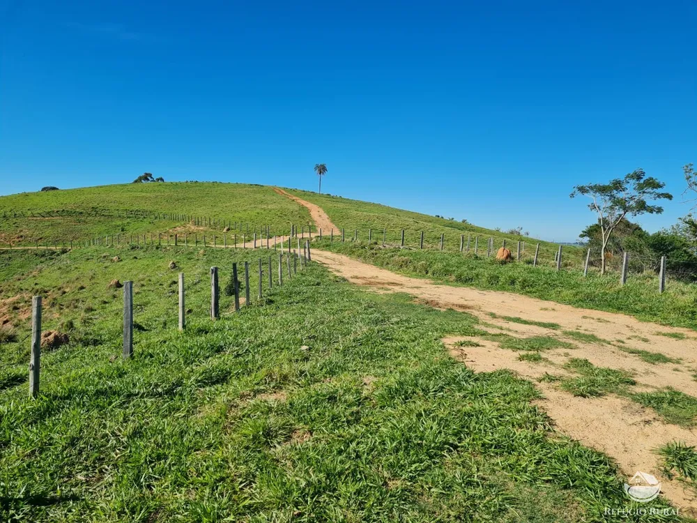Fazenda, 822 hectares - Foto 4