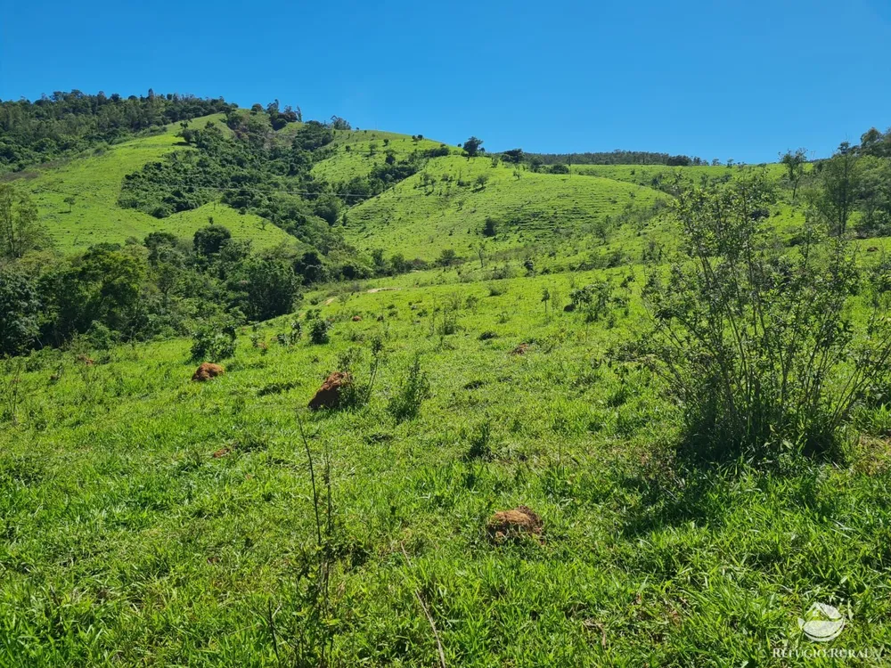 Fazenda, 822 hectares - Foto 12