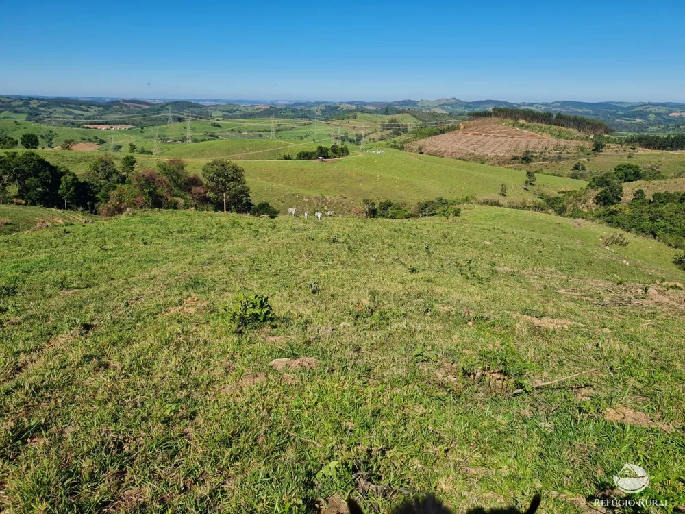 Fazenda, 822 hectares - Foto 10