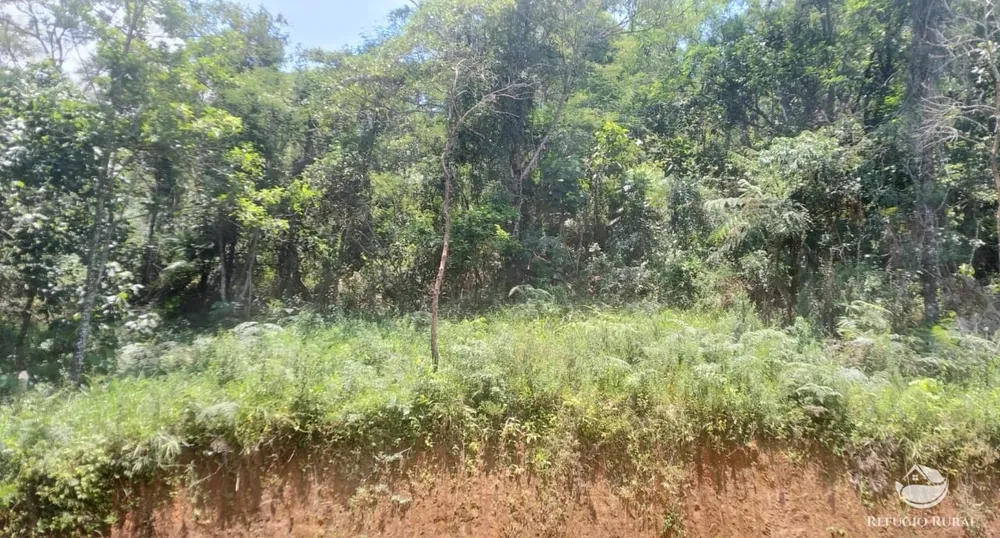 Terreno, 3 hectares - Foto 6