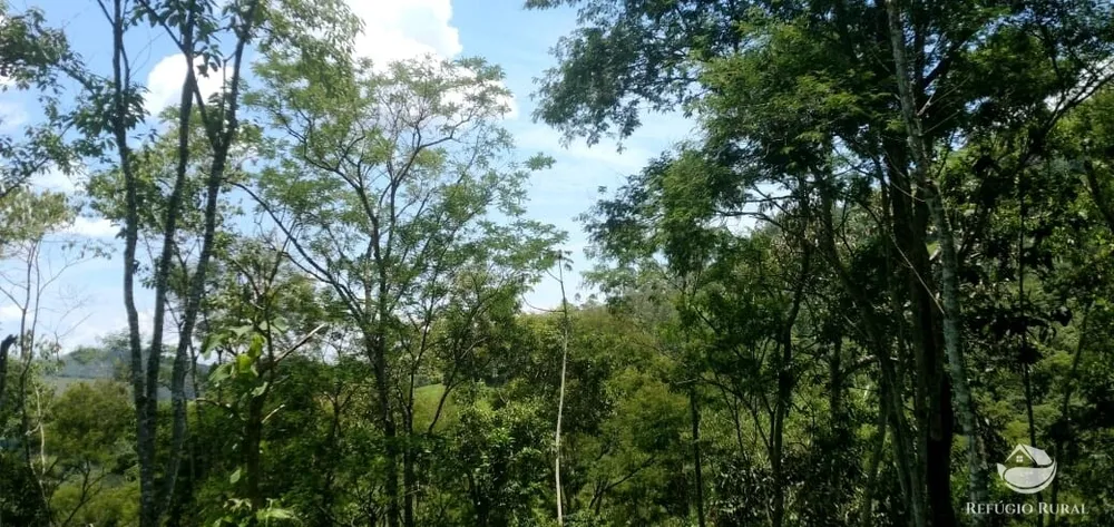 Terreno, 3 hectares - Foto 3