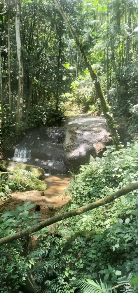 Terreno, 3 hectares - Foto 11