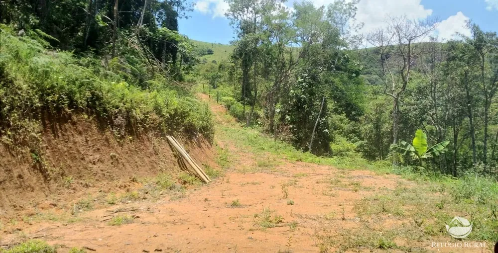 Terreno, 3 hectares - Foto 1
