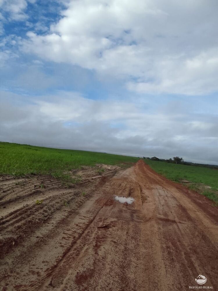 Fazenda à venda com 2 quartos, 78000000m² - Foto 3