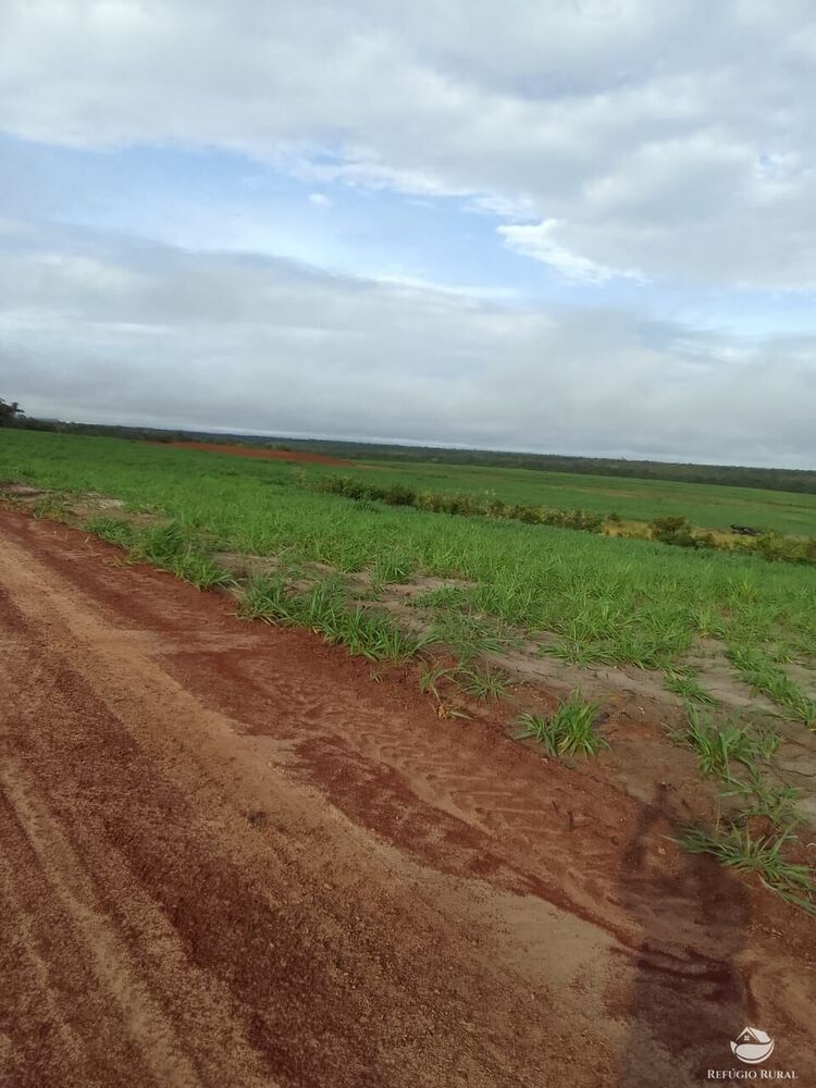 Fazenda à venda com 2 quartos, 78000000m² - Foto 1