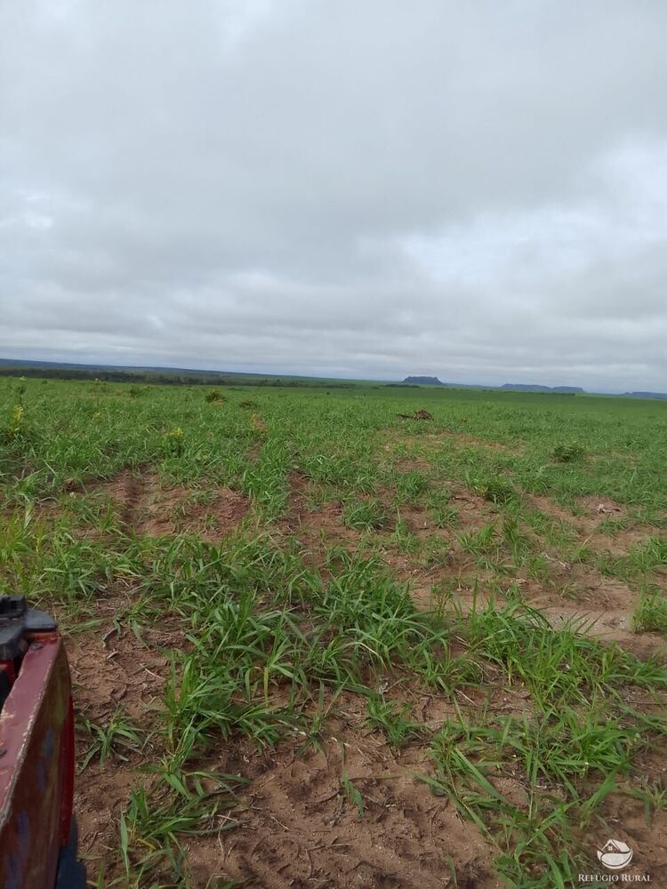 Fazenda à venda com 2 quartos, 78000000m² - Foto 2