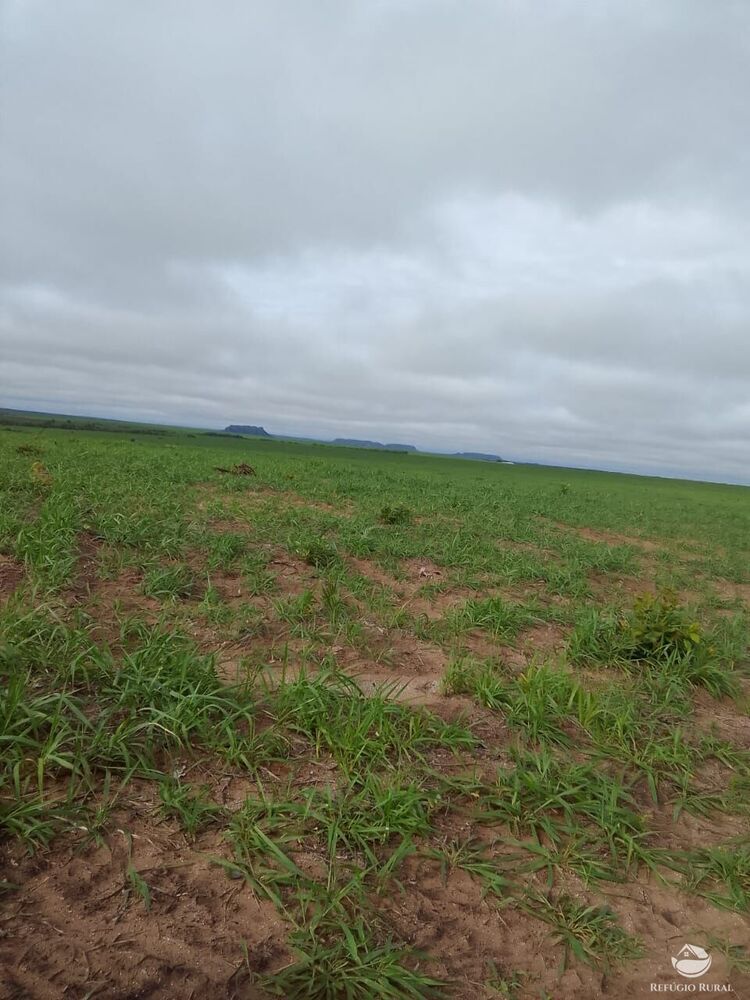 Fazenda à venda com 2 quartos, 78000000m² - Foto 4