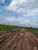 Fazenda-Sítio-Chácara, 7800 hectares - Foto 3