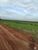 Fazenda-Sítio-Chácara, 7800 hectares - Foto 1