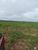 Fazenda-Sítio-Chácara, 7800 hectares - Foto 2