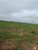 Fazenda-Sítio-Chácara, 7800 hectares - Foto 4