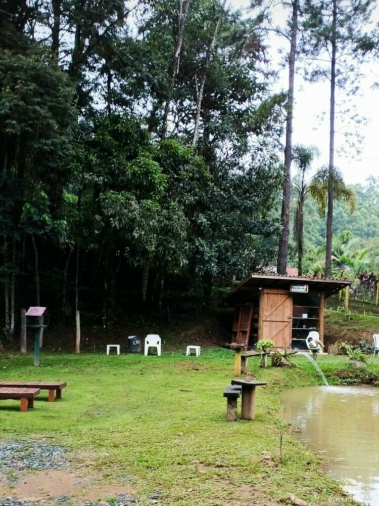 Sítio à venda com 1 quarto, 59804m² - Foto 11