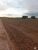 Fazenda-Sítio-Chácara, 1000 hectares - Foto 11