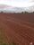 Fazenda-Sítio-Chácara, 1000 hectares - Foto 6