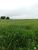 Fazenda-Sítio-Chácara, 1000 hectares - Foto 3