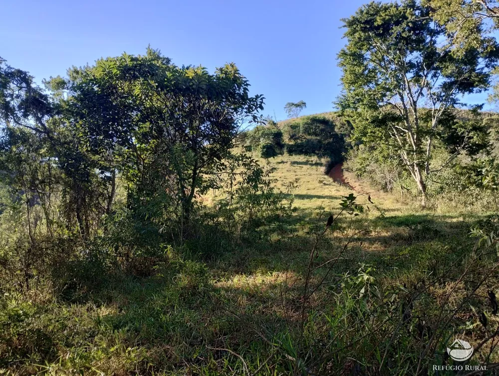 Terreno, 2 hectares - Foto 2