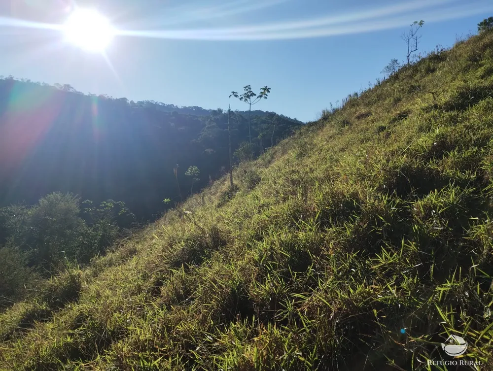 Terreno, 2 hectares - Foto 7