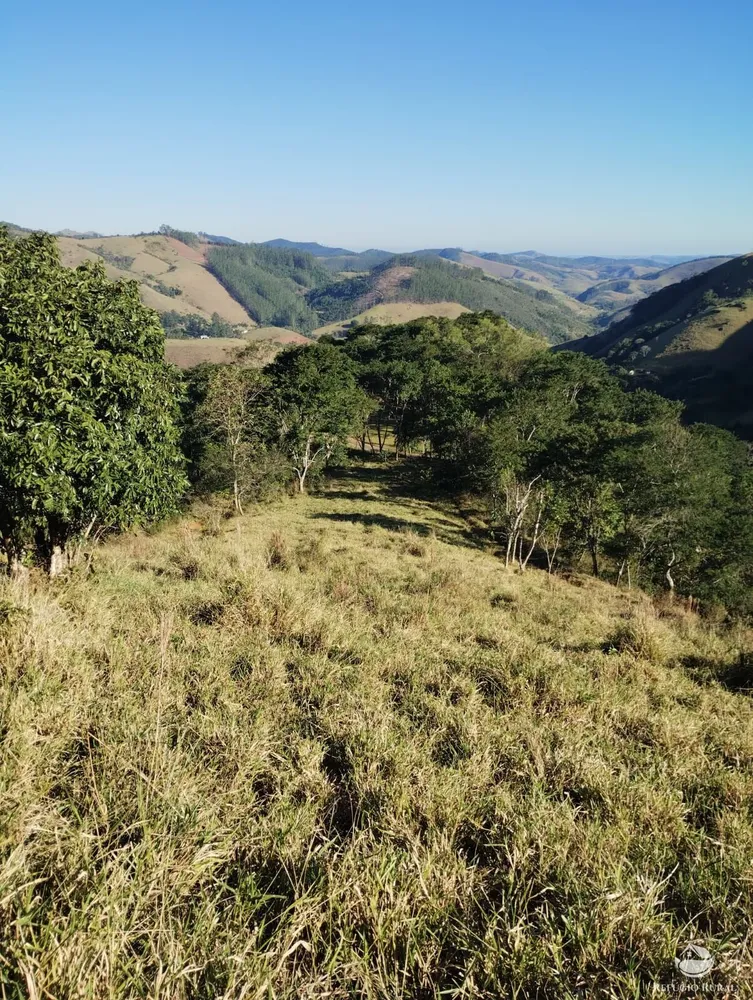 Terreno, 2 hectares - Foto 6