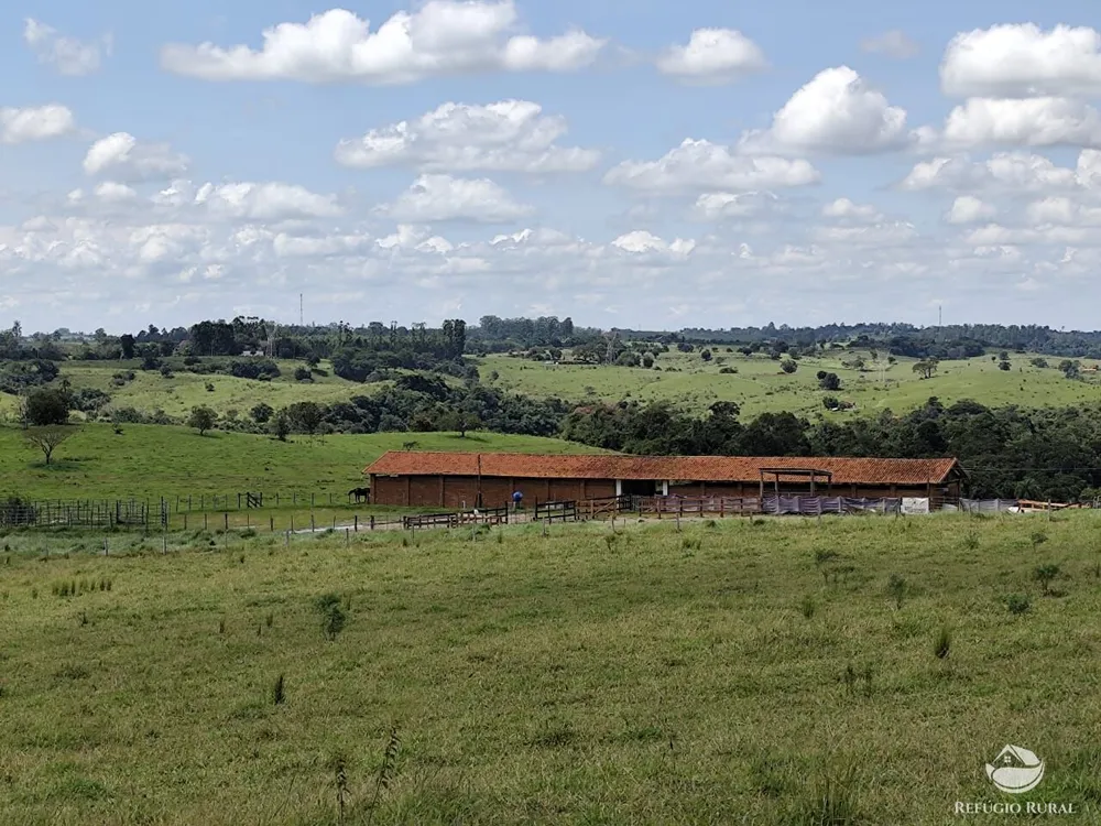 Fazenda, 435 hectares - Foto 8