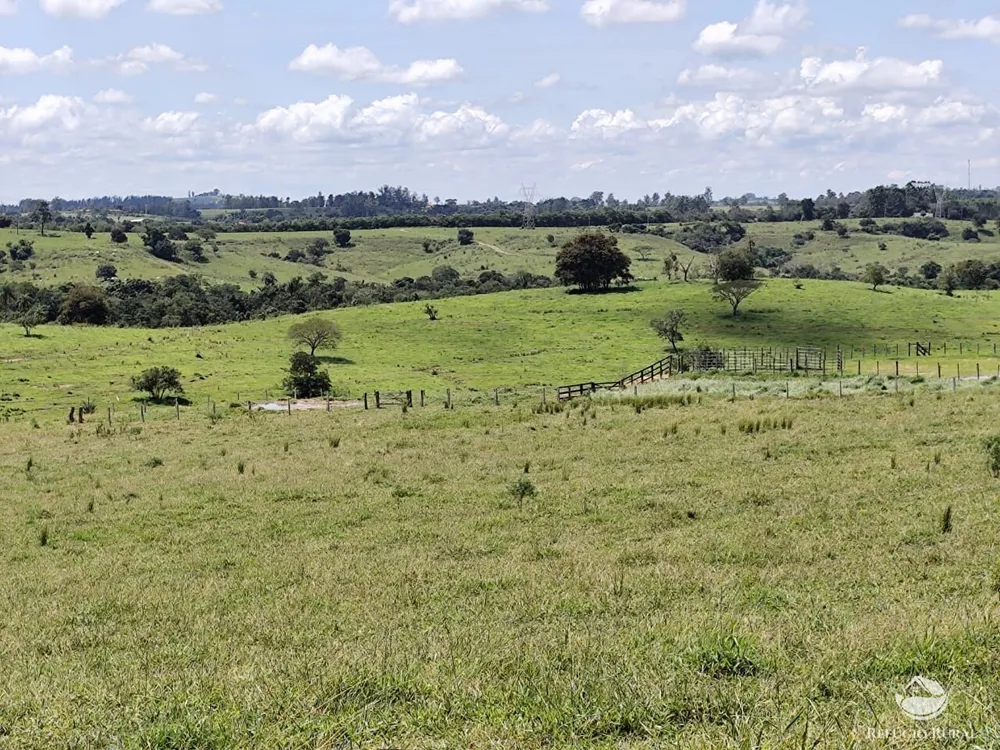 Fazenda, 435 hectares - Foto 6