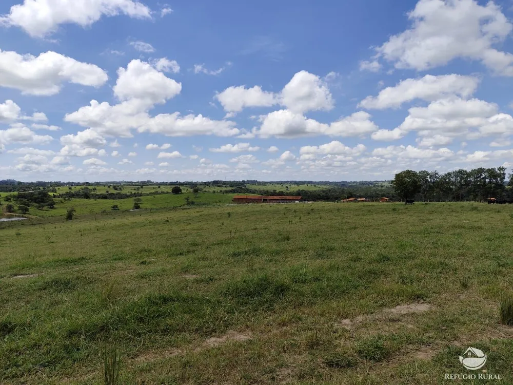 Fazenda, 435 hectares - Foto 5