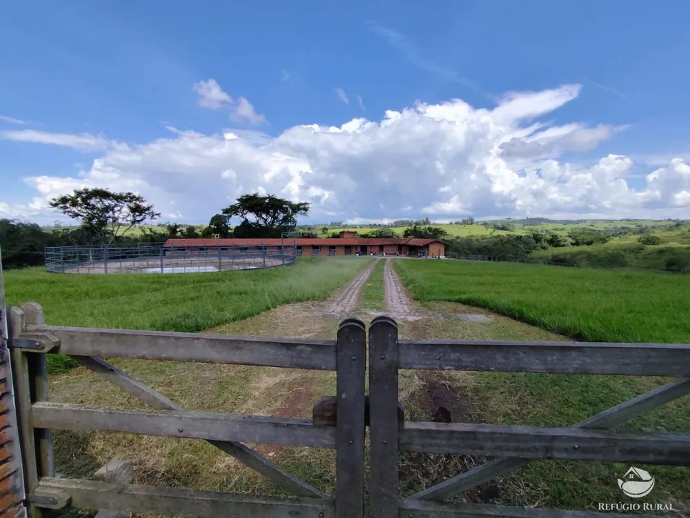 Fazenda, 435 hectares - Foto 2