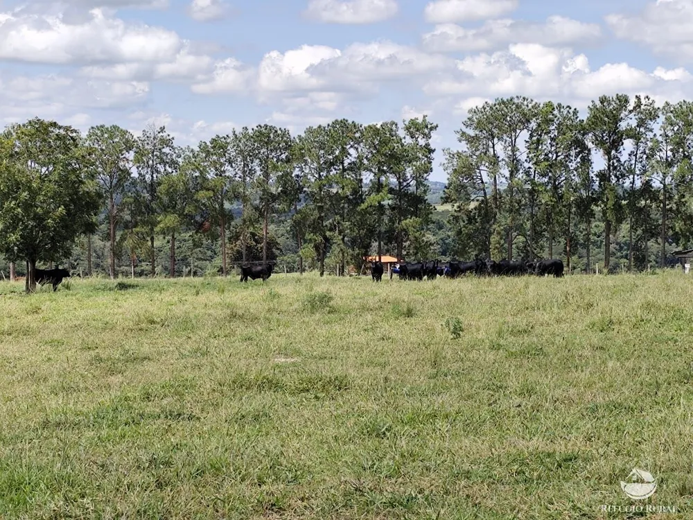Fazenda, 435 hectares - Foto 10