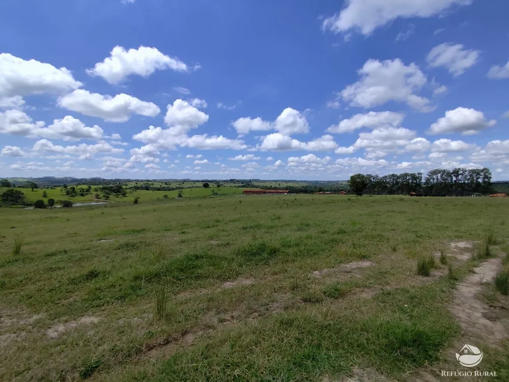 Fazenda, 435 hectares - Foto 4