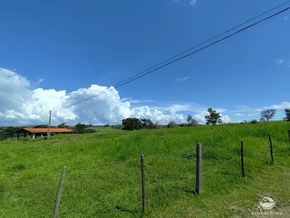 Fazenda, 435 hectares - Foto 4