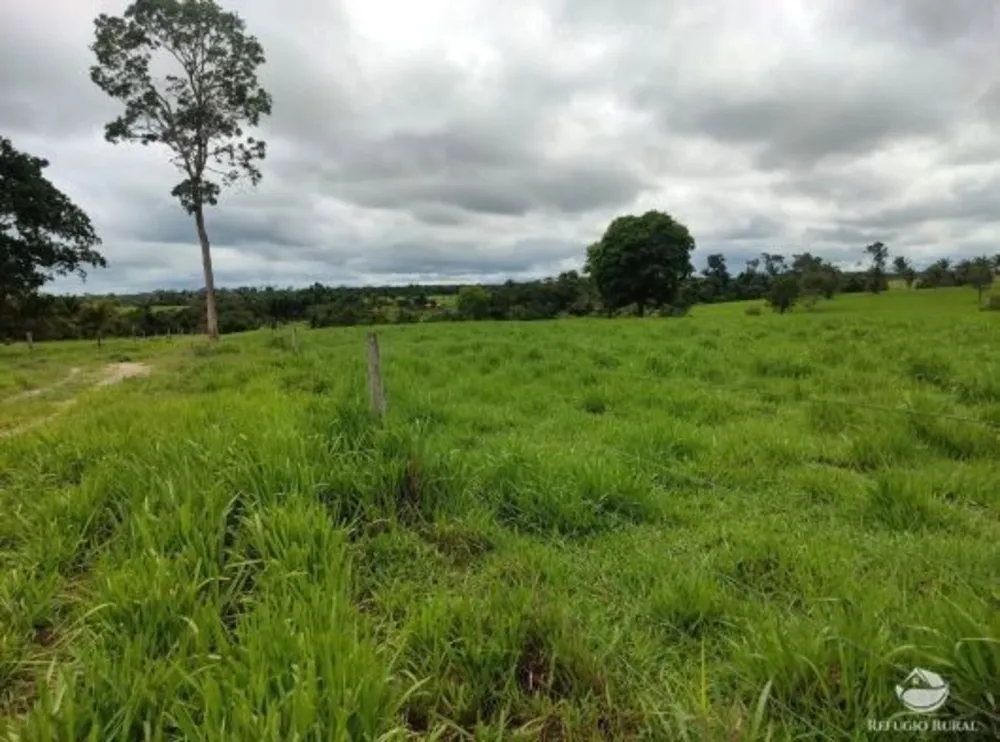 Fazenda, 484 hectares - Foto 6