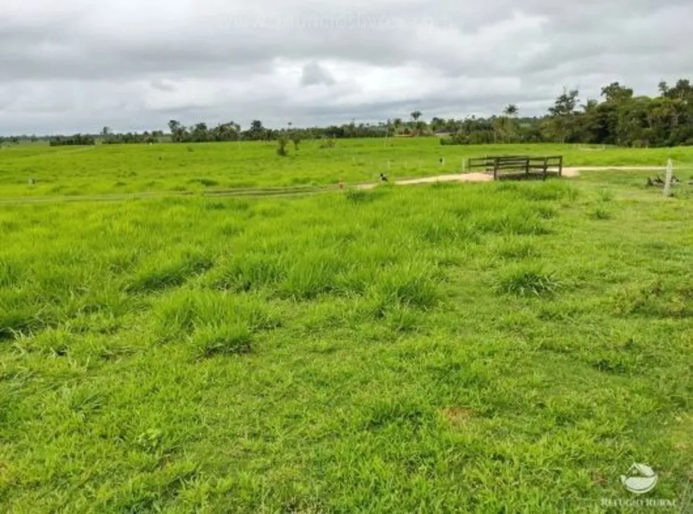 Fazenda, 484 hectares - Foto 4