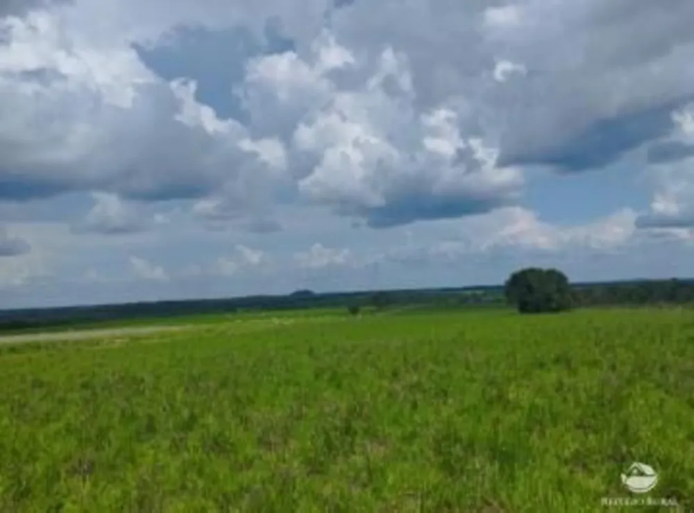 Fazenda, 484 hectares - Foto 2