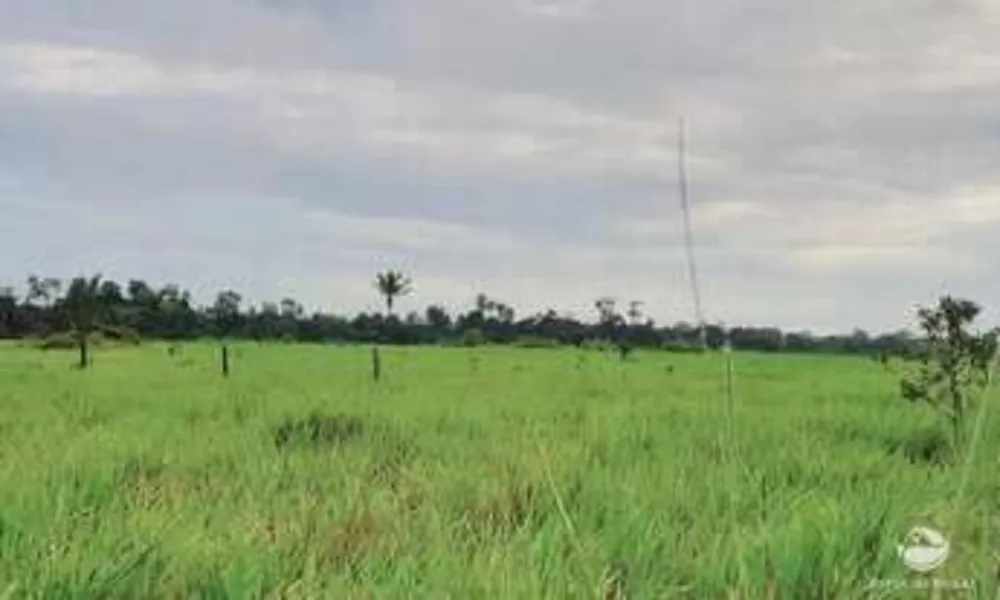 Fazenda, 484 hectares - Foto 1