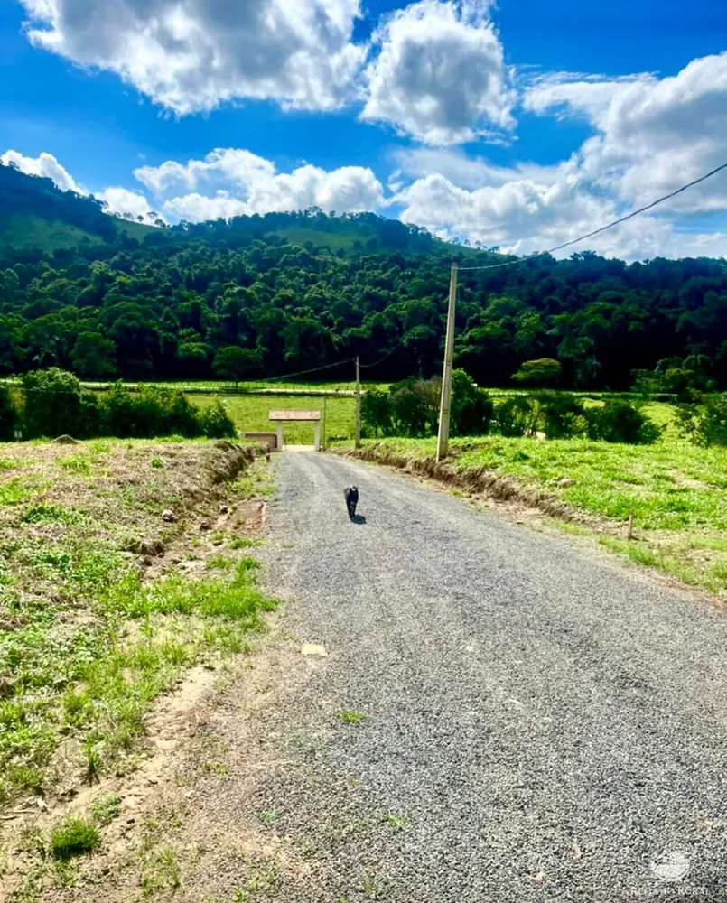 Terreno, 300 m² - Foto 5