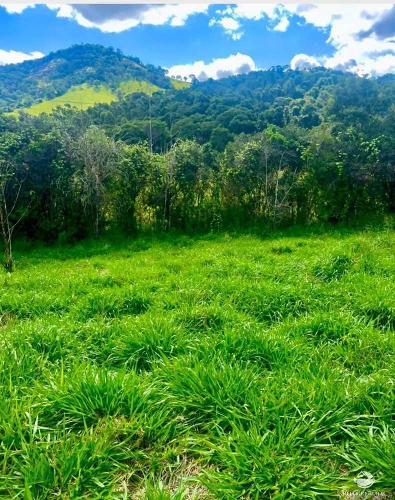 Terreno, 300 m² - Foto 2