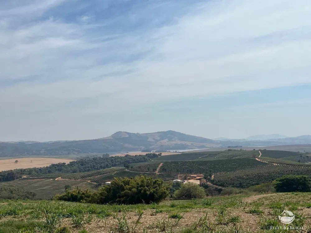 Fazenda, 99 hectares - Foto 6