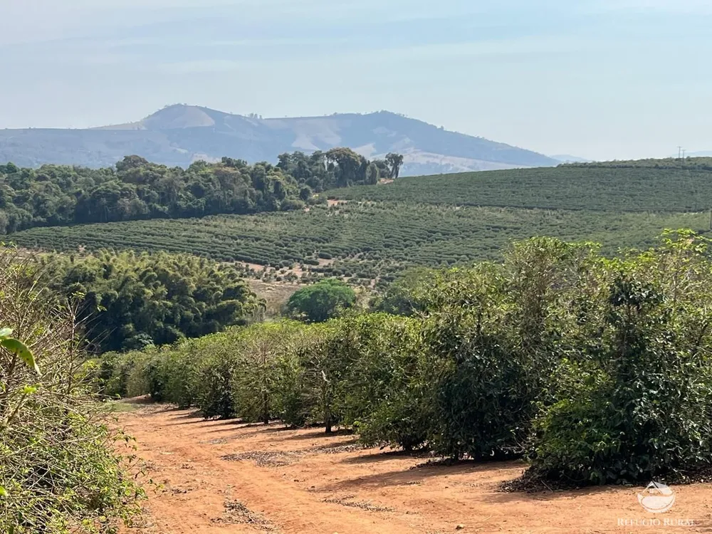 Fazenda, 99 hectares - Foto 1