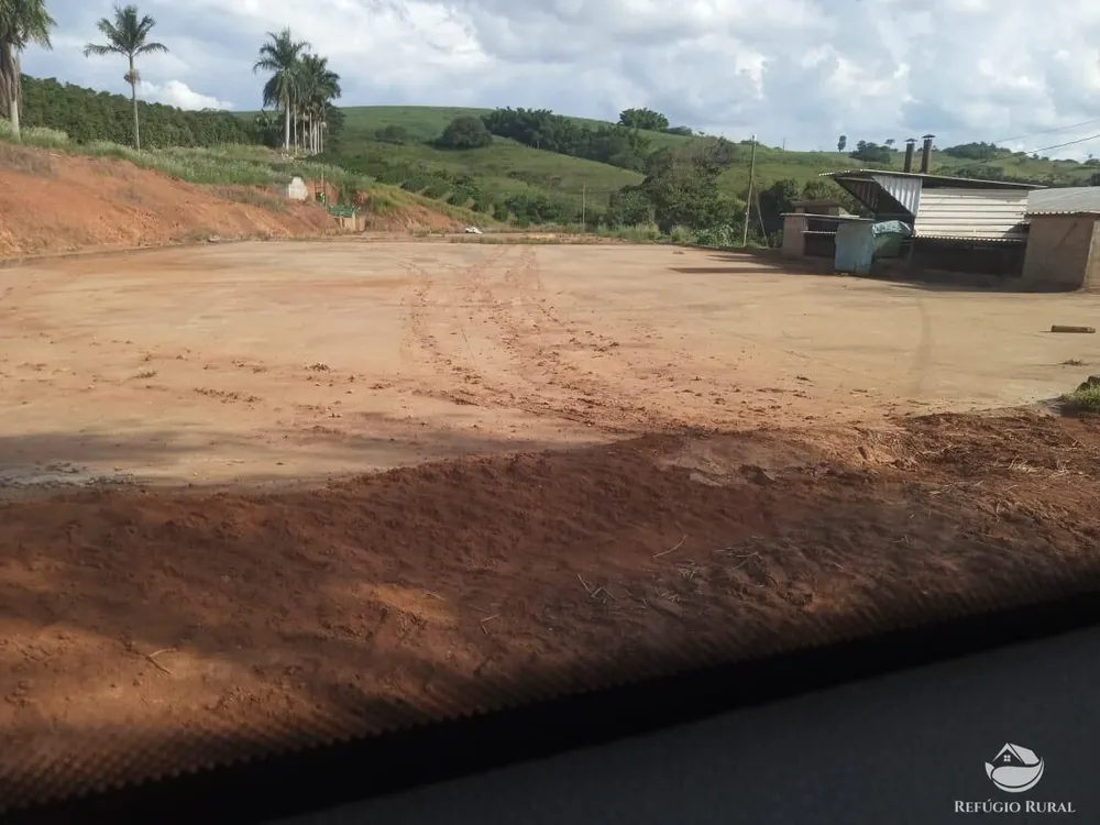 Fazenda, 99 hectares - Foto 8